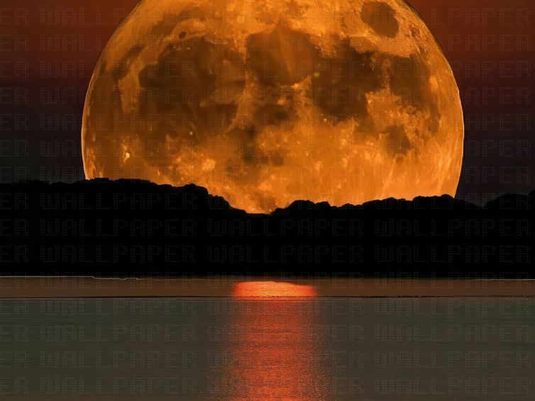 Akşam güneşinin ışığında doğan ay  poster duvar kağıdı
