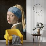 Girl-with-a-Pearl-Earring-02