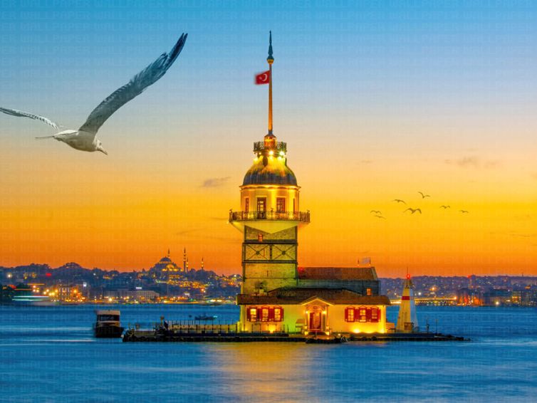Kız kulesi ve martılar poster duvar kağıdı