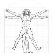 Vitruvius Adamı poster duvar kağıdı